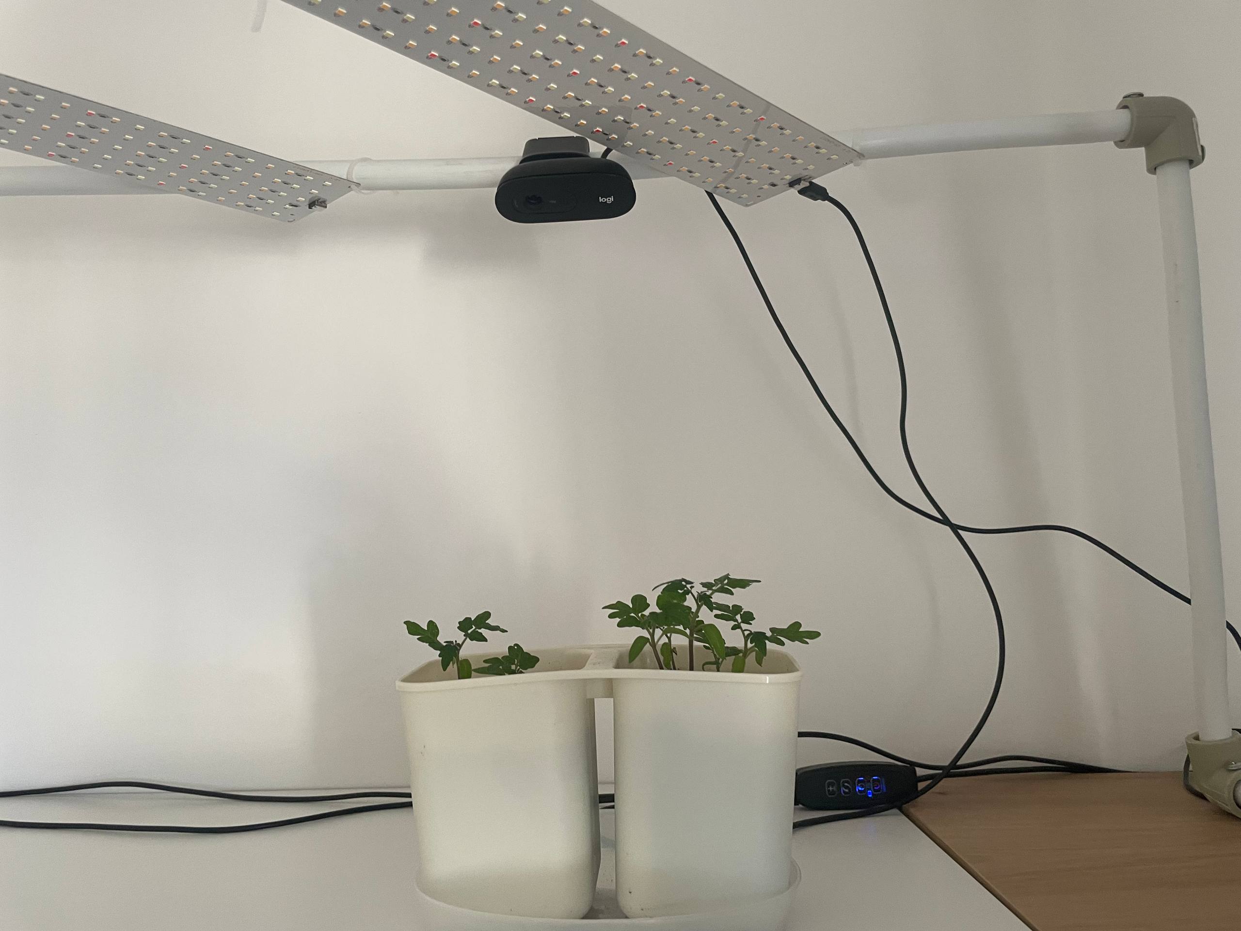 AI gardener project — photo 1