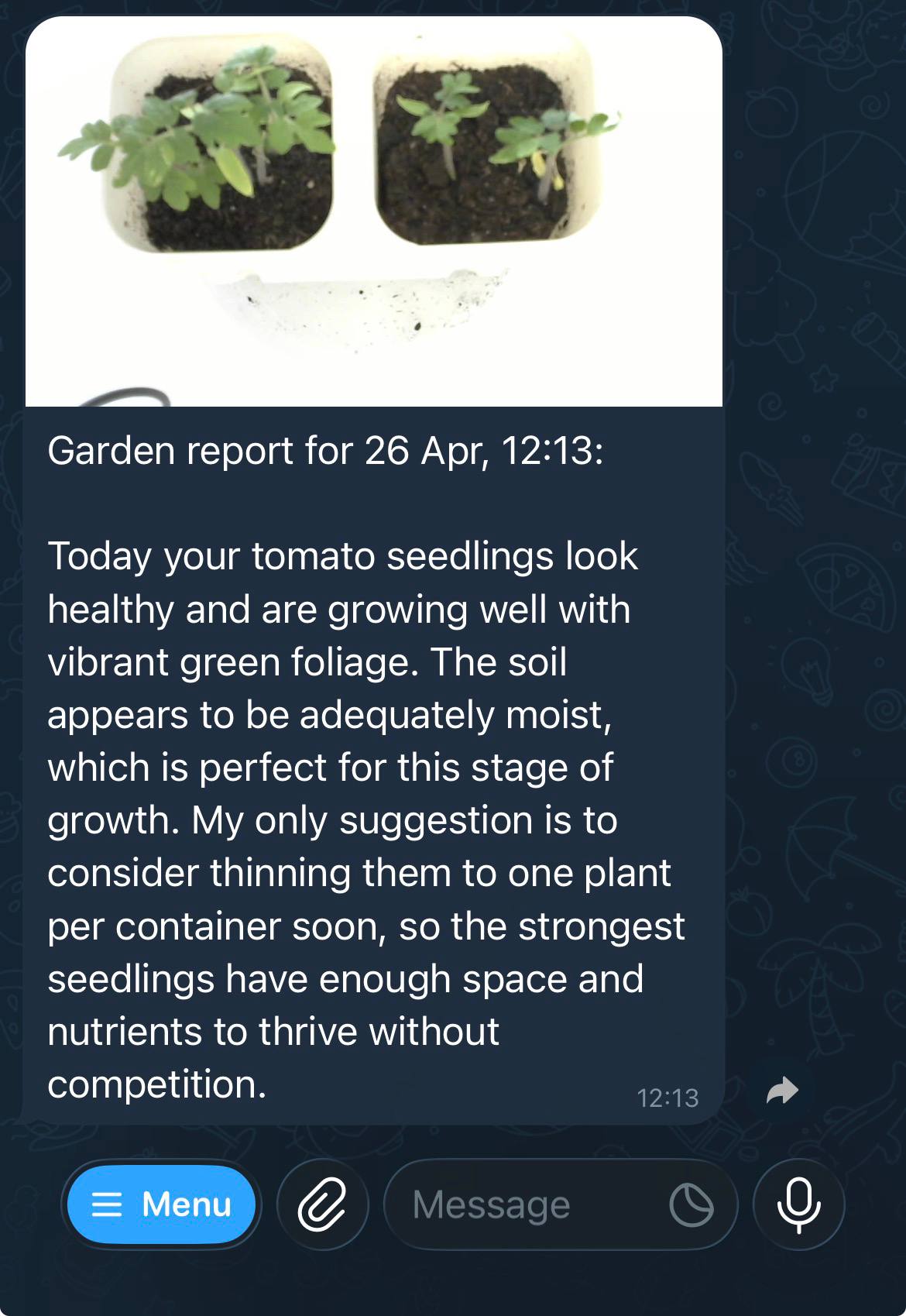 AI gardener project — photo 2